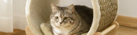 LUXURY CAT HOUSE