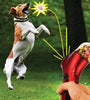 Pet Food Catapult Feeder Funny Dog Toy