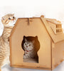 Cat house carton